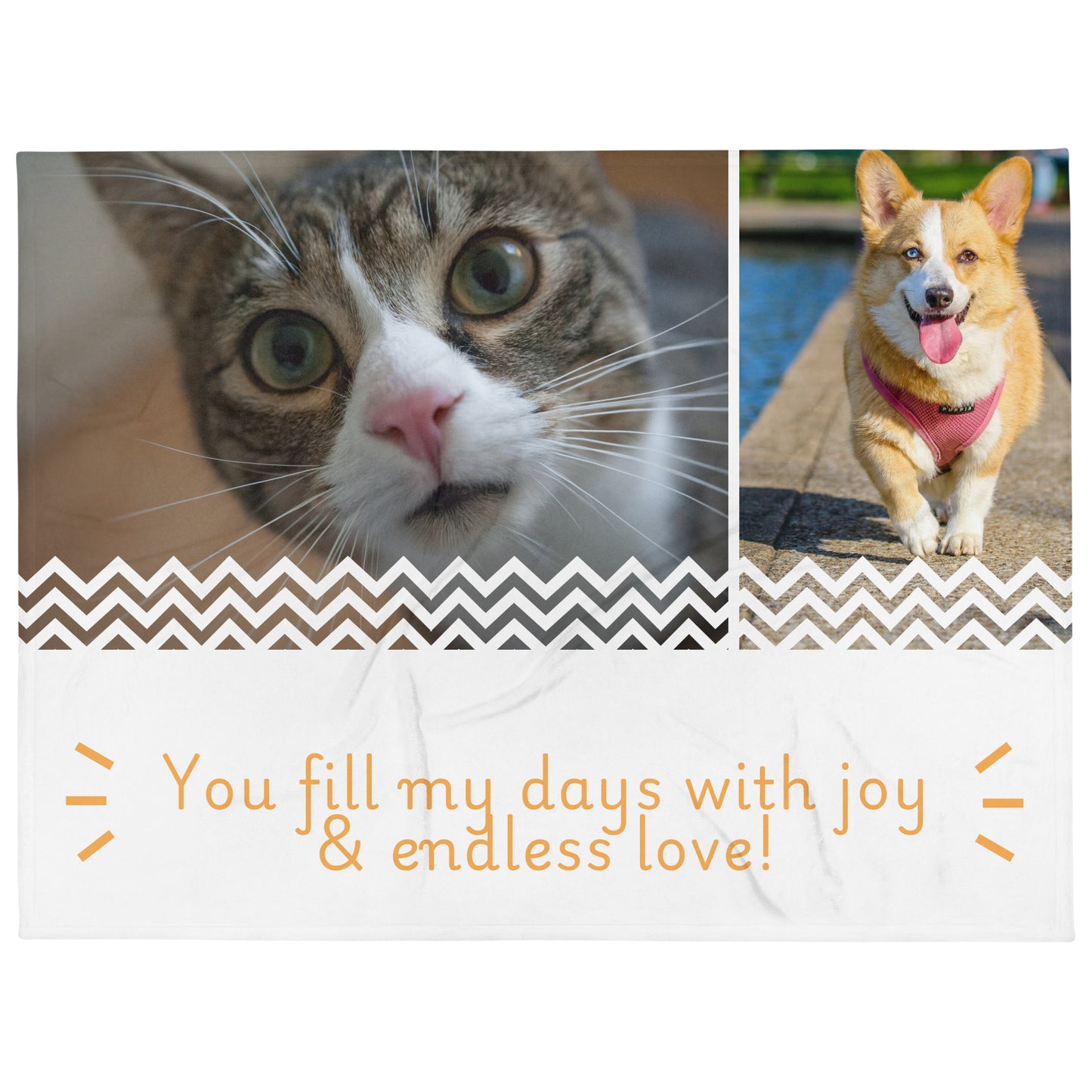 Custom Pet Blanket featuring photos of cat and dog