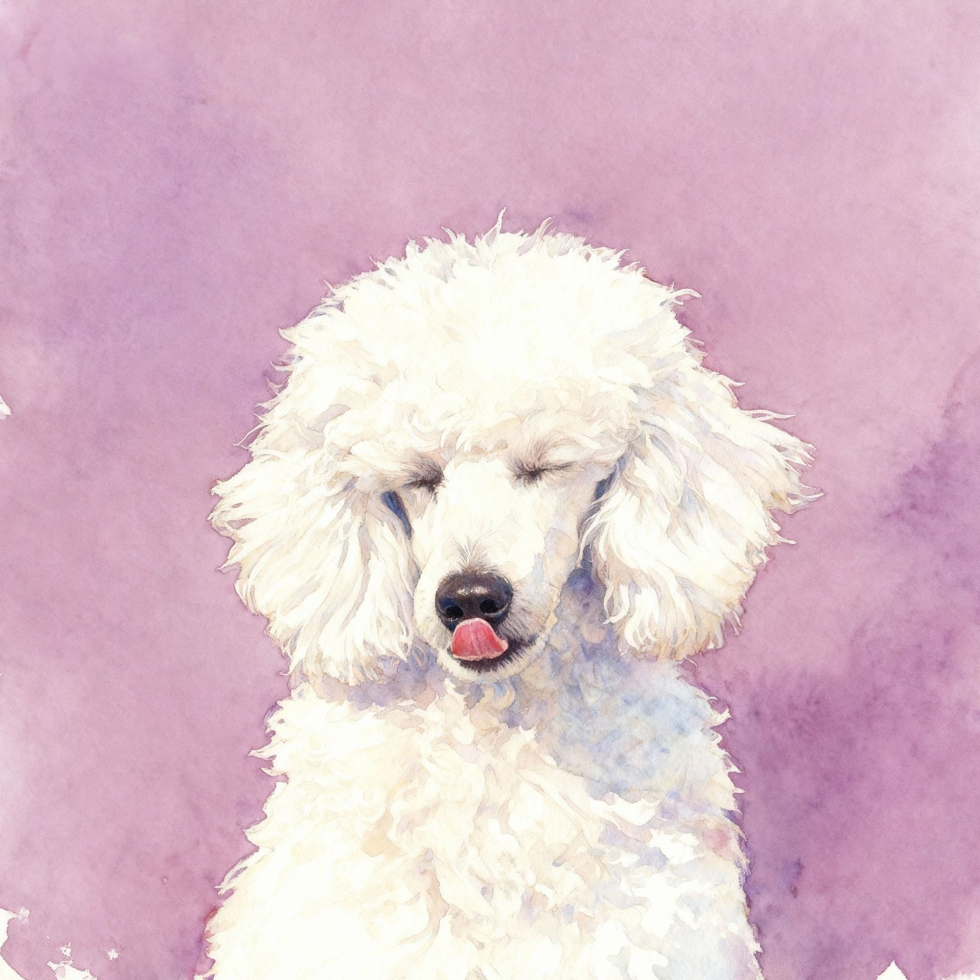 Custom modern pet portrait in watercolor style with solid background, featuring a white poodle.
