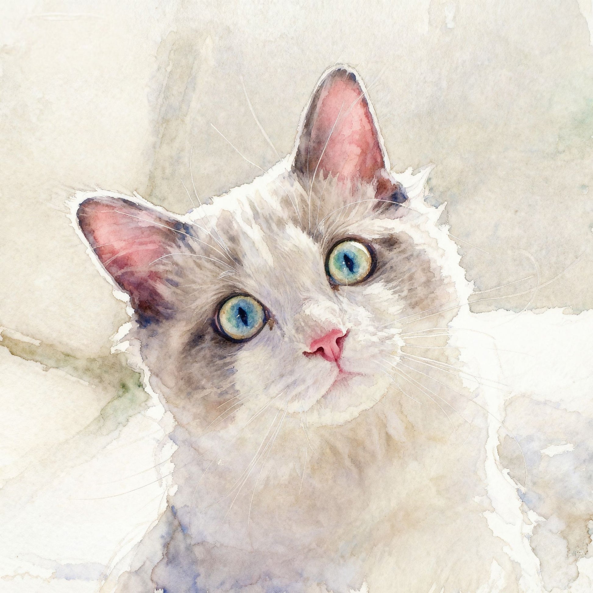 watercolor painting of a cat with blue eyes and pink ears on a light background