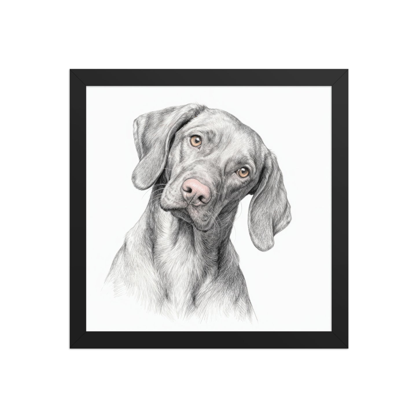 Modern Minimalist Pet Portraits – Black & White with Color Accents