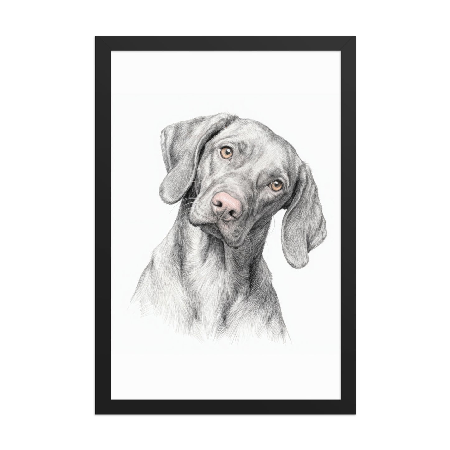 Modern Minimalist Pet Portraits – Black & White with Color Accents