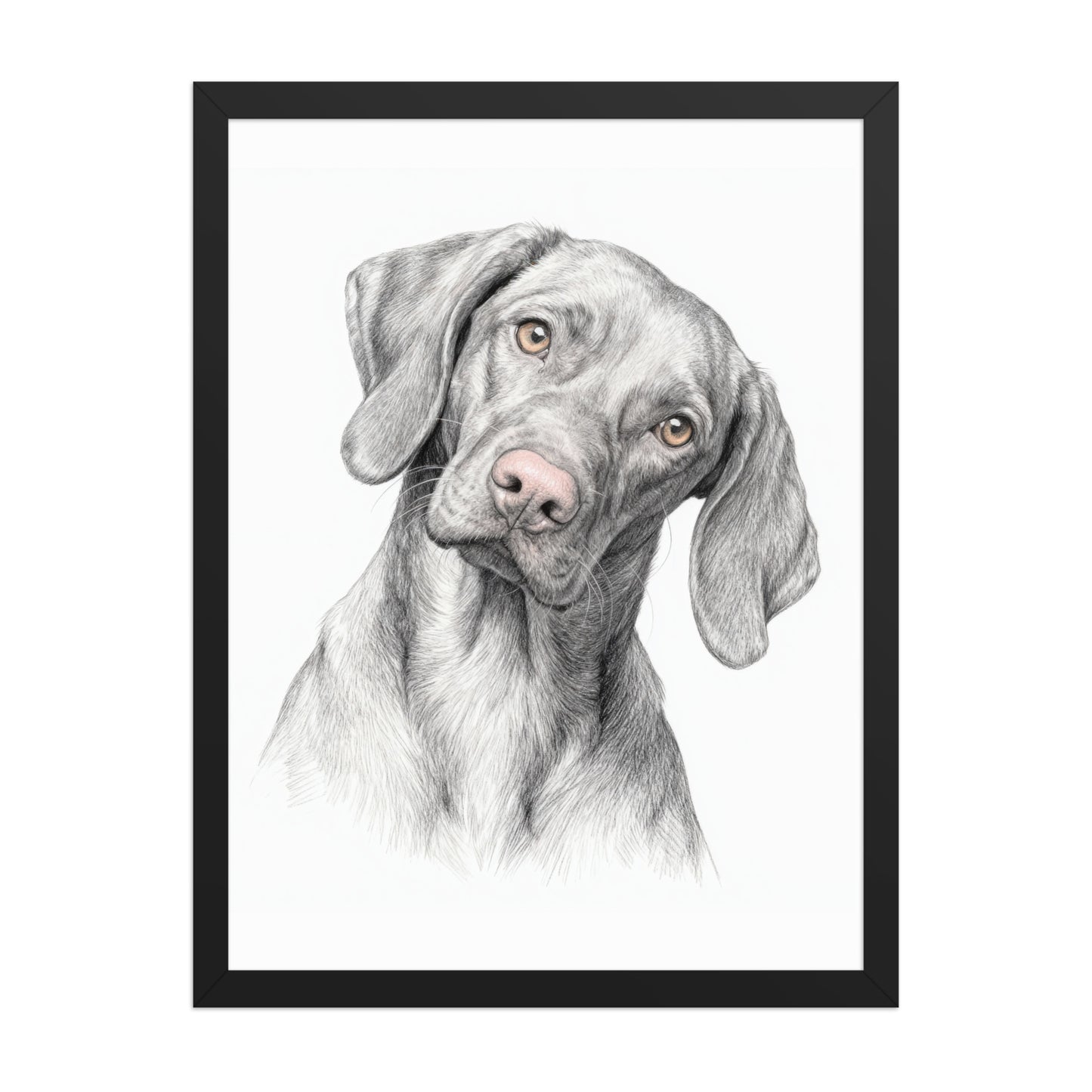 Modern Minimalist Pet Portraits – Black & White with Color Accents