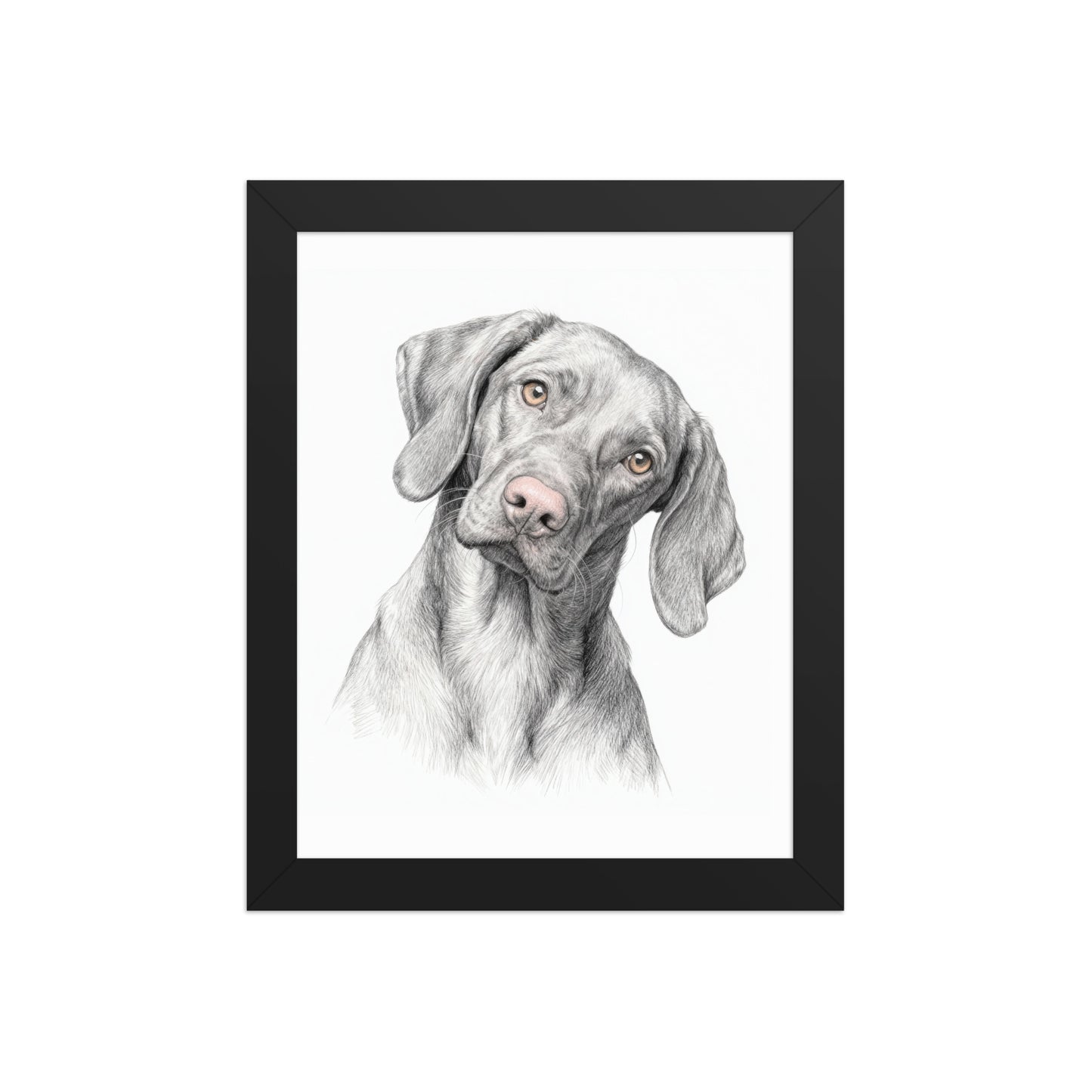 Modern Minimalist Pet Portraits – Black & White with Color Accents